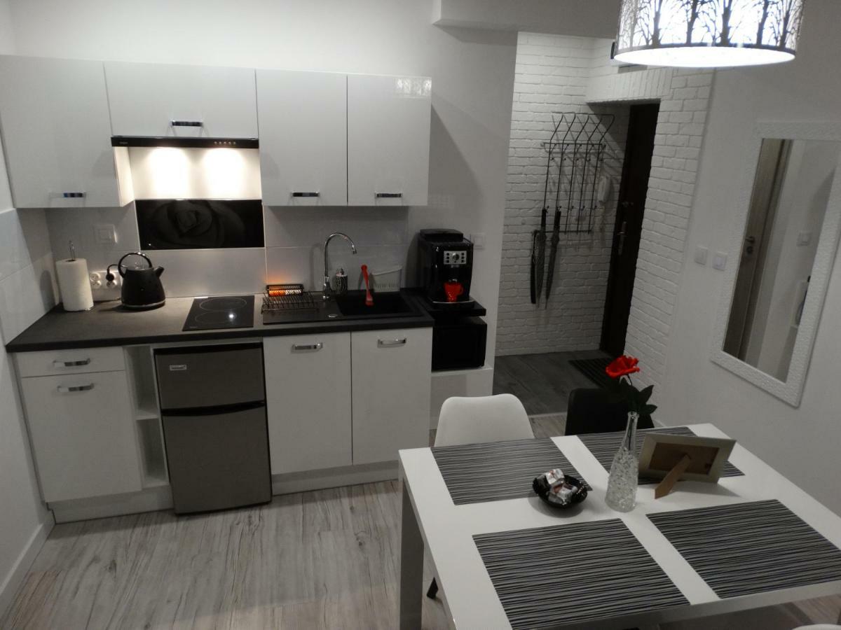 Apartament "Eli" Торунь Экстерьер фото